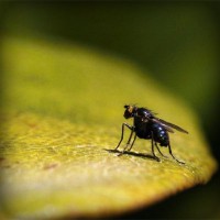 /album/chiara-salvi/photolia-a07-jpg/